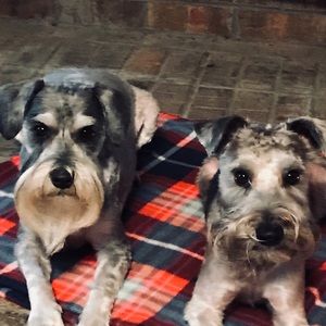 Meet your Posher, Sherlana